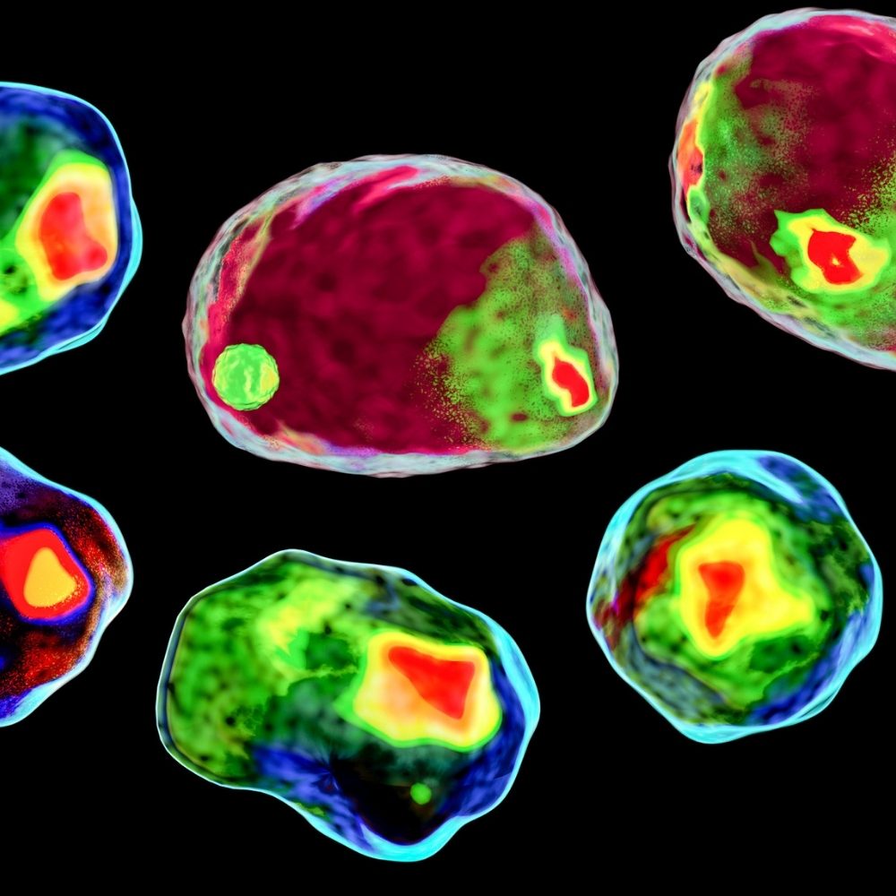 Flow Cytometry Core